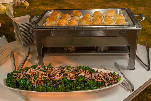 GovMansion-50